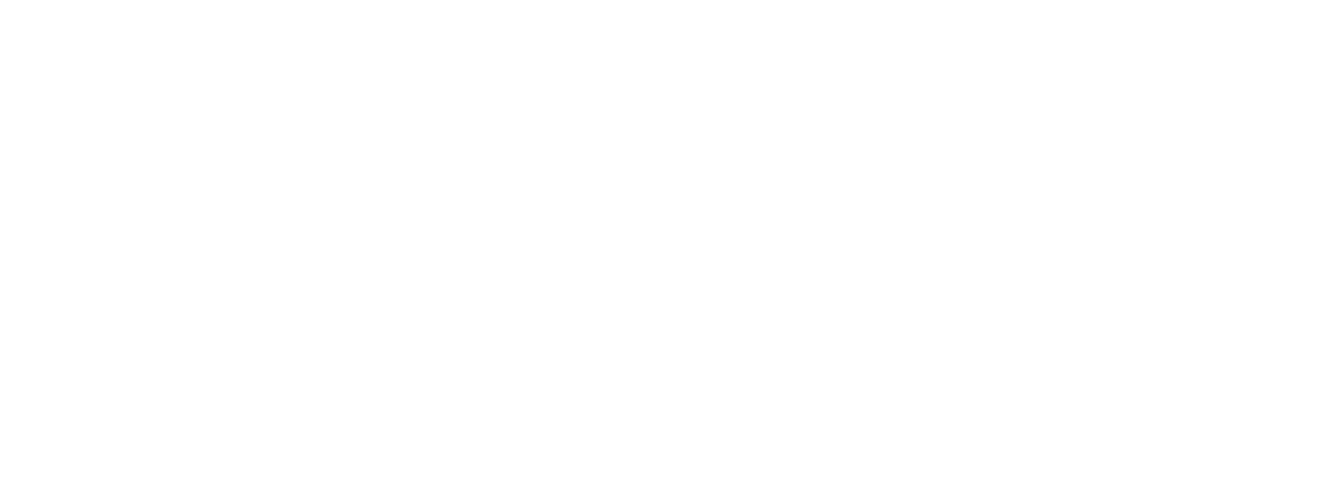BIM-R